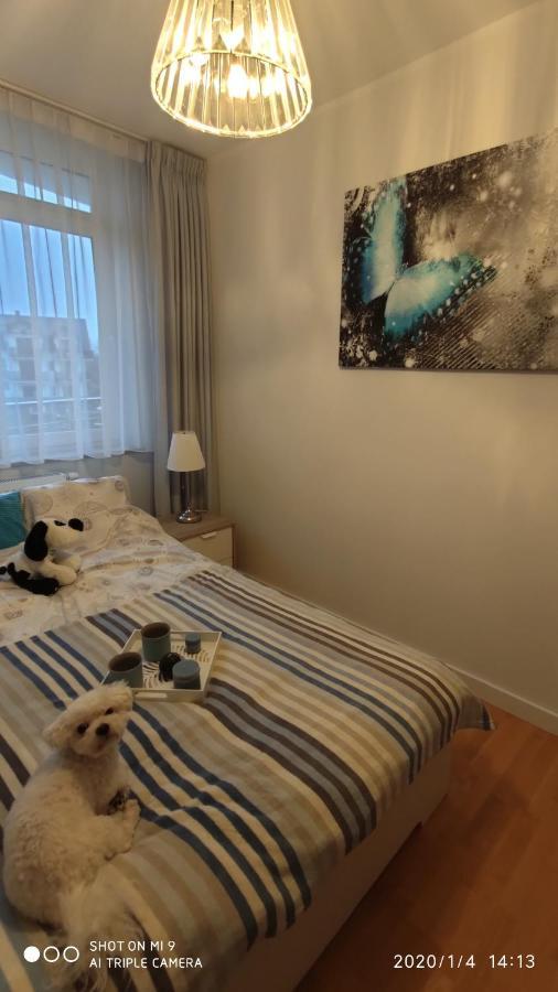 Ferienwohnung Fregata Jastrzębia Góra Exterior foto