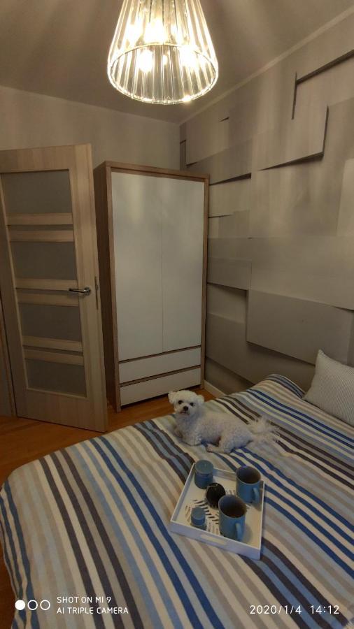 Ferienwohnung Fregata Jastrzębia Góra Exterior foto